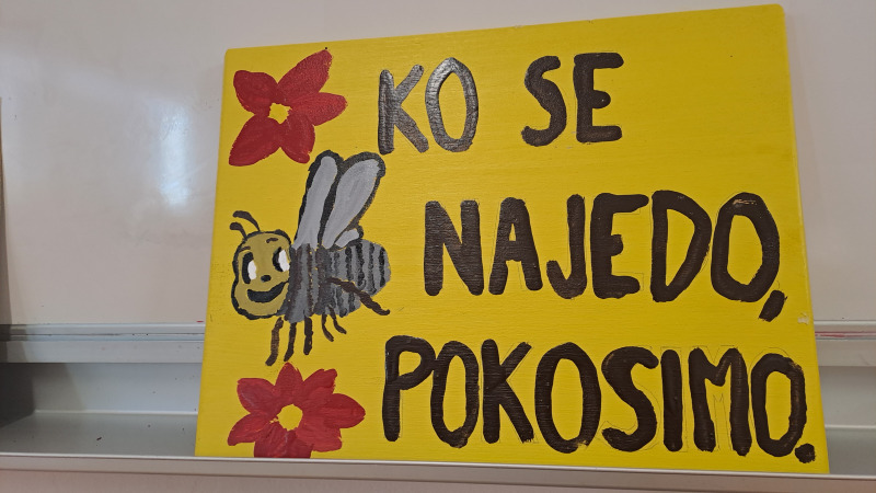 Vladerretro's tweet photo. @abajkovMKD POKOSILI BOMO, KO SE BODO ČEBELICE NAJEDLE https://t.co/tGUb5p9k5D
