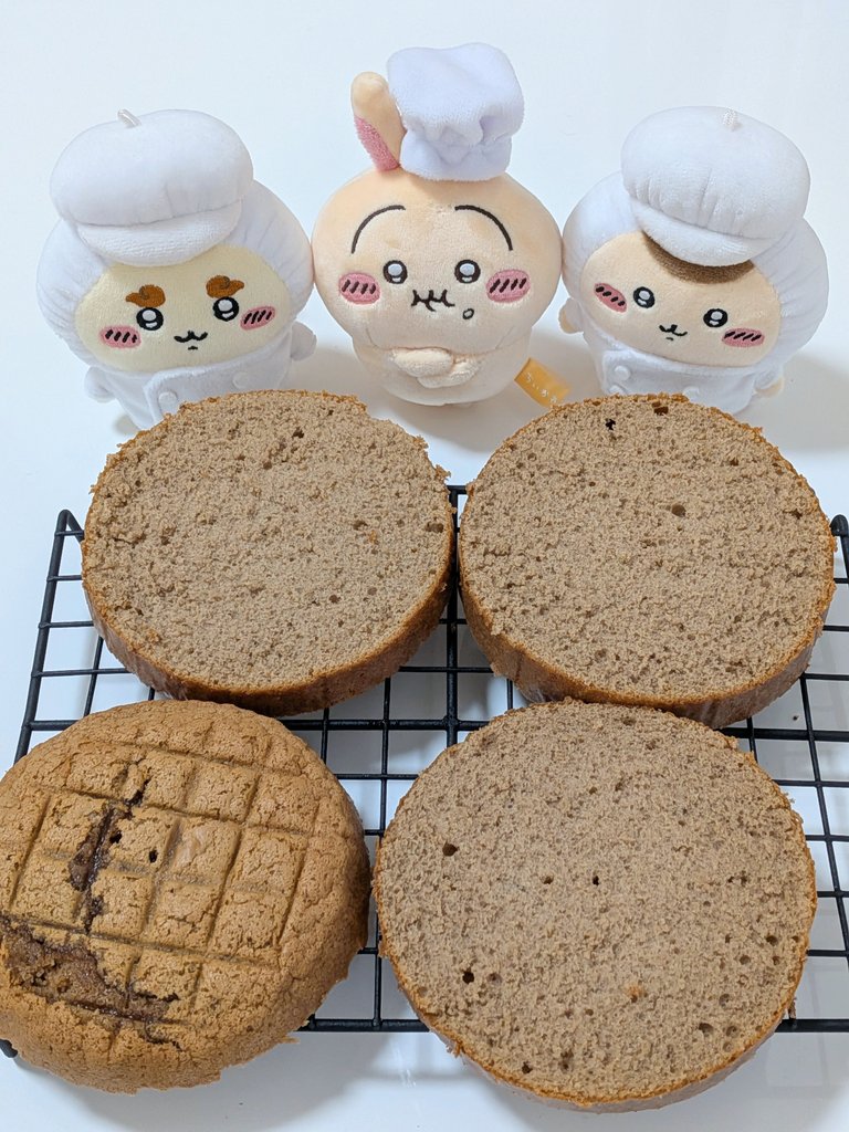ポシェットのくま🧸 tweet media