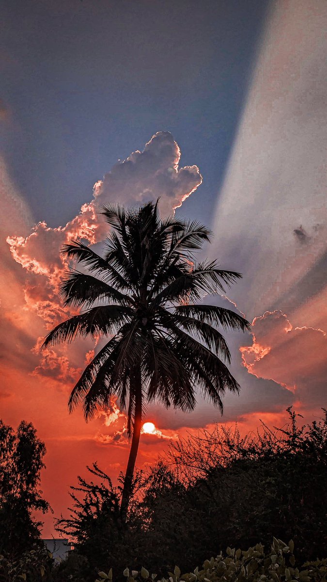 gvspk's tweet image. #Sunset