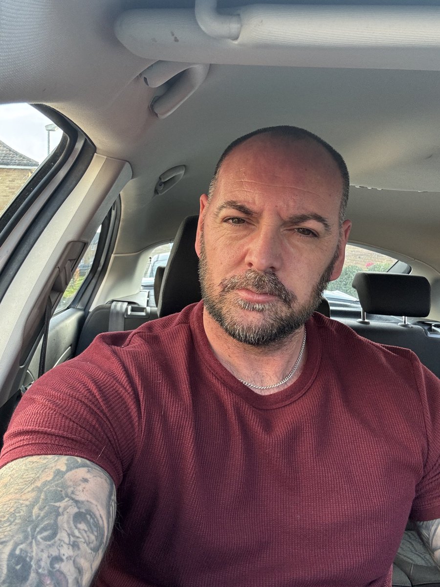 Dan tweet media