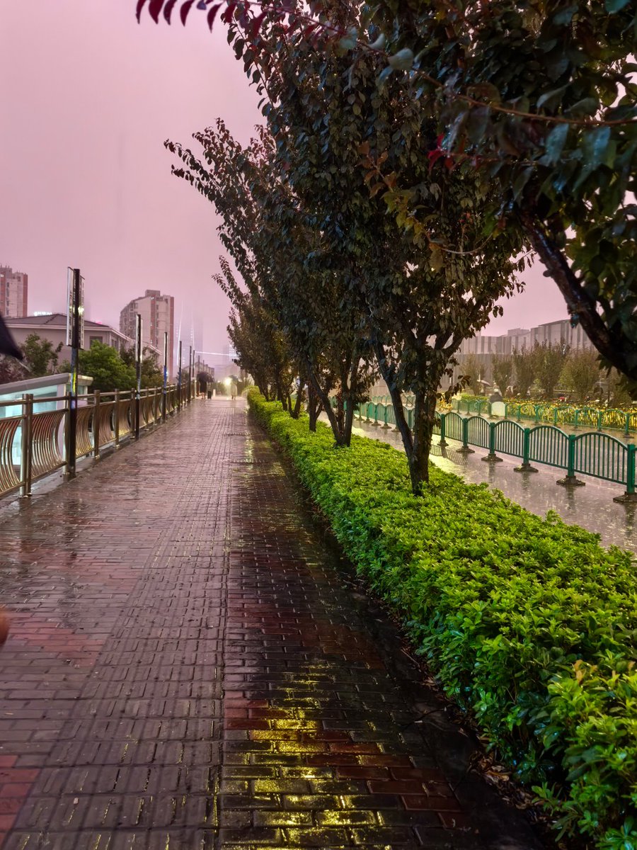 OGunTownPlanning tweet media