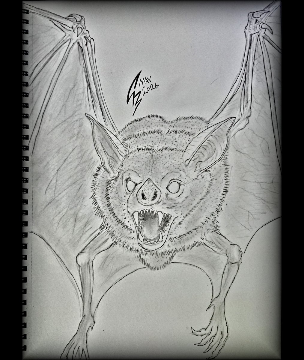 TheSoulGrinder's tweet photo. Day 139 of my #dailysketch.  This is the Vampire Bat.   This flying creature, found deep underground and can restore its health by draining yours with a bite attack.

#vampirebat #bat #pencilsketch #gamemechanic #creaturedesign https://t.co/rQms59wHHb