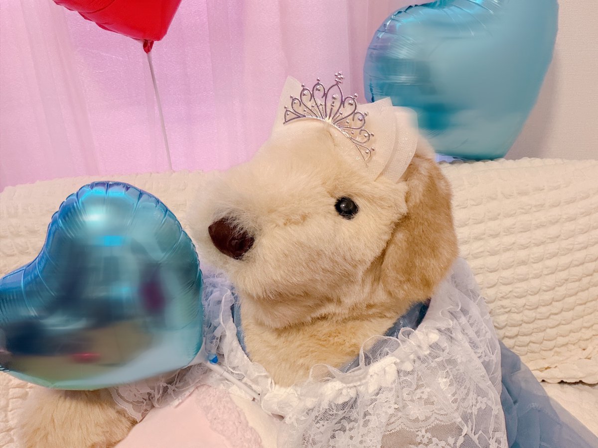 ゆっきー (@yukki_0225) / Posts / X