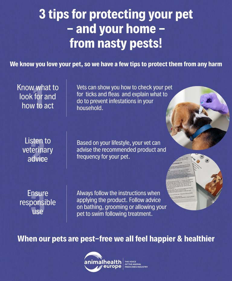 animalhealthEU's tweet image. ☀️Warm weather means more chances for #parasites to thrive.

Regular protection as advised by your vet keeps pets comfortable and helps prevent avoidable harm.
👉Simple steps can make a big difference!

#ParasiteProtection
