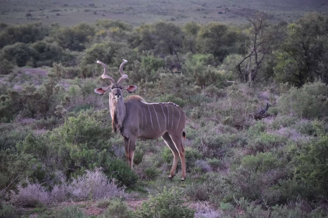 Thank you for the best trip!

"Marco was absolutely amazing! We saw everything we wanted to and more. The staff were all brilliant, and the tented lodges were so comfortable. Thanks everyone for such a memorable stay."

— Grace Jenkinson