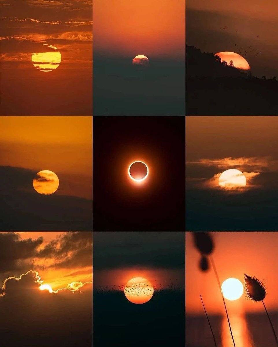 Moon tweet media