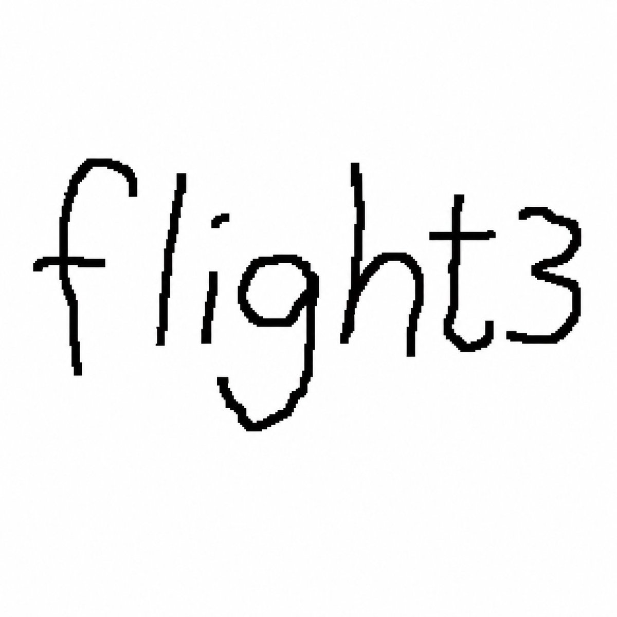 Flight3 ✈️ tweet media
