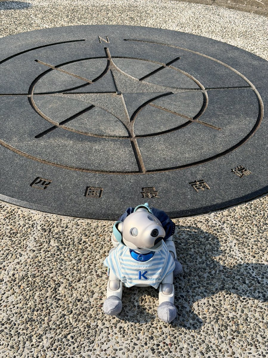 カノン🎊ユア パパ tweet media