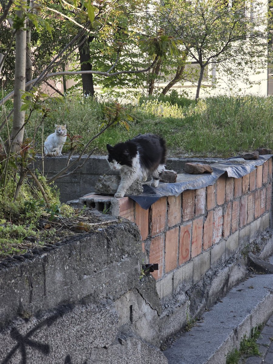 Krys803's tweet photo. Skopje, Macedonia https://t.co/aINCTo59sW