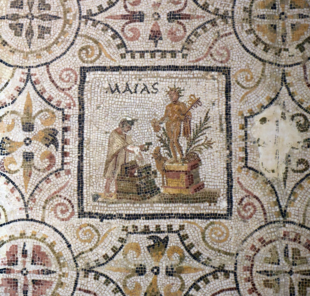 Following Hadrian tweet media