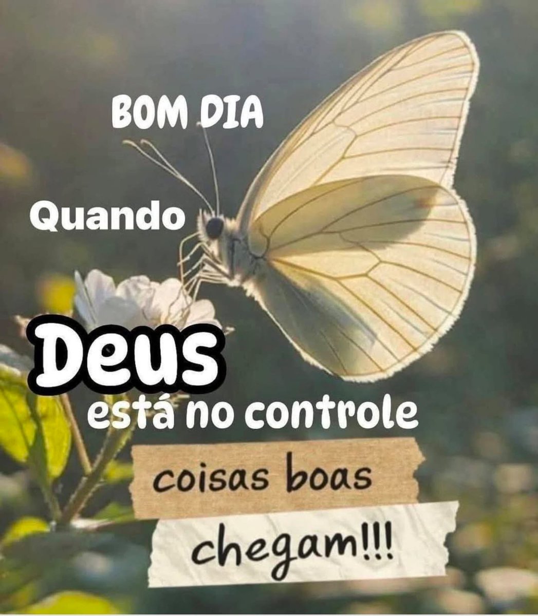 Valmir Longo 🇧🇷🇦🇺🇮🇹🇵🇹 tweet media