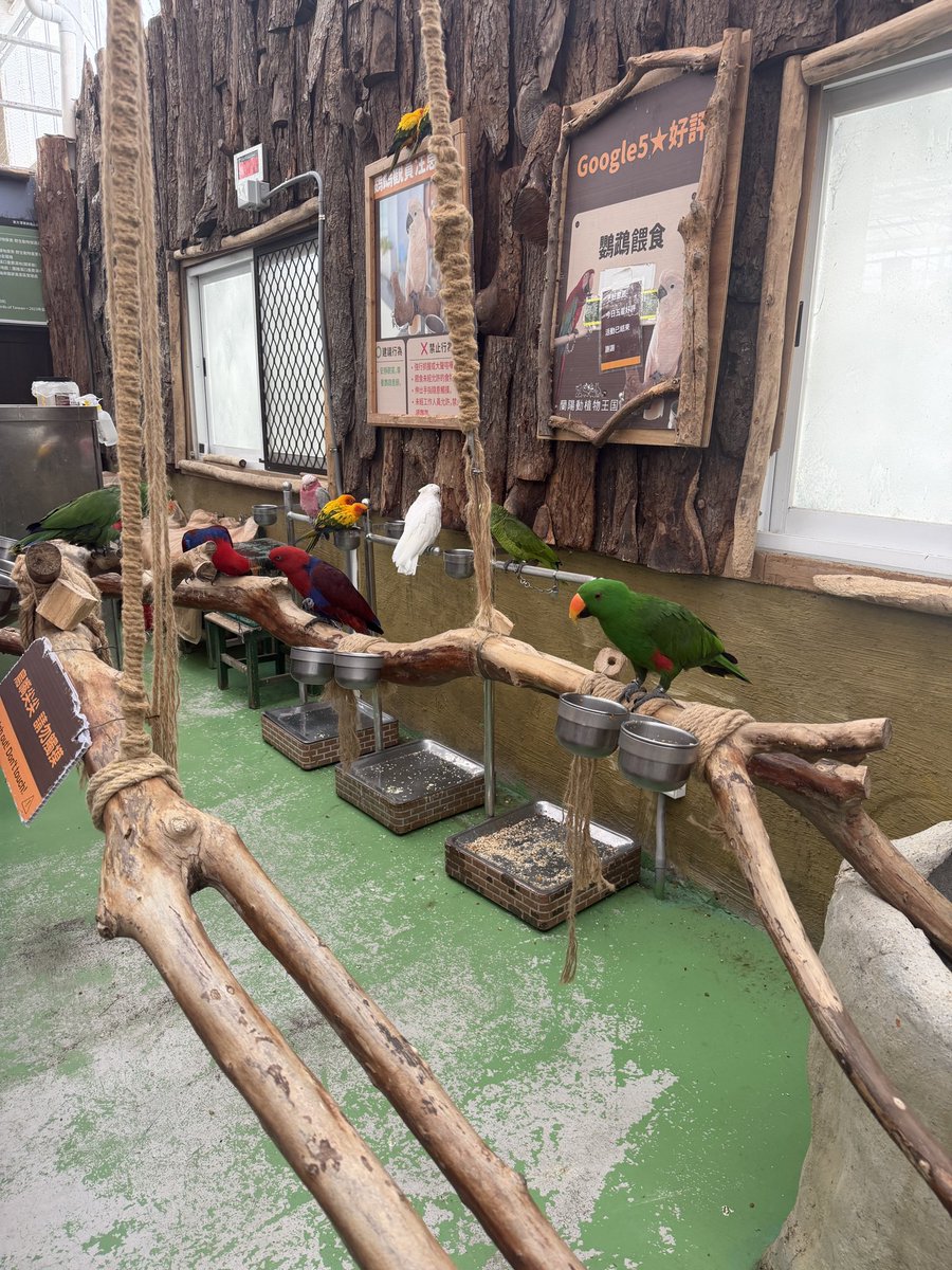 魚醬` 子 tweet media
