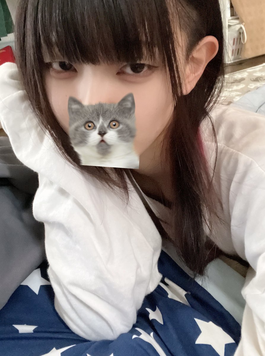 だちゃかも🐈‍⬛ tweet media