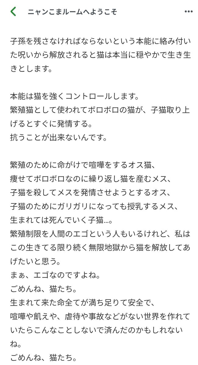 izumi nishimura tweet media
