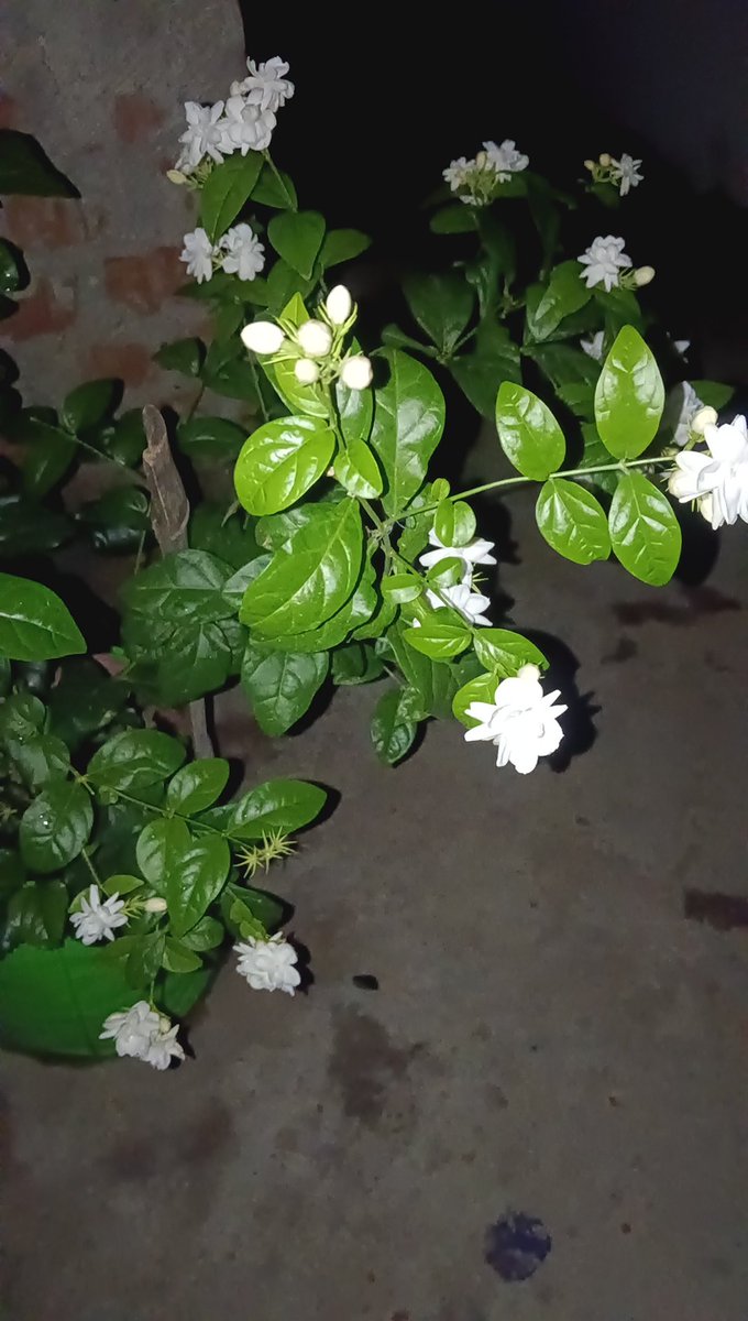 🦋͜͡⍣pragati♪═♥ tweet media