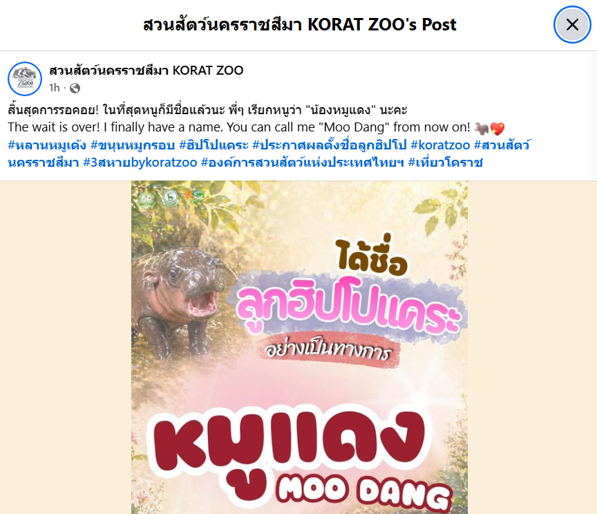 Bilngineer tweet media