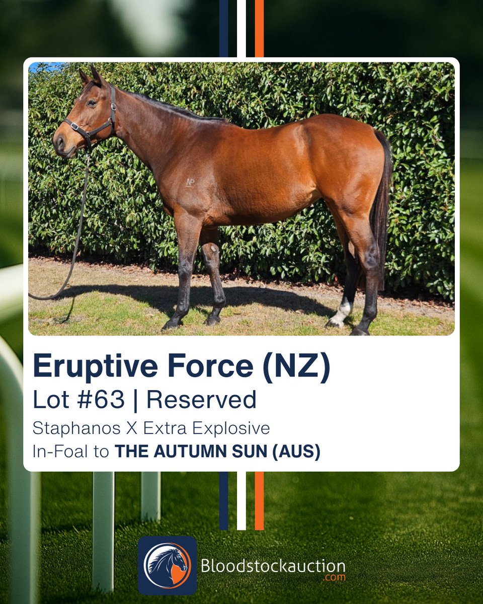 Bloodstockauction.com tweet media