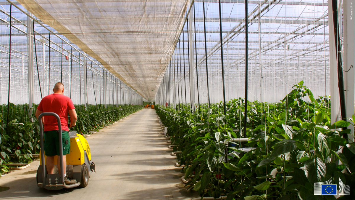 EU Agriculture🌱 tweet media