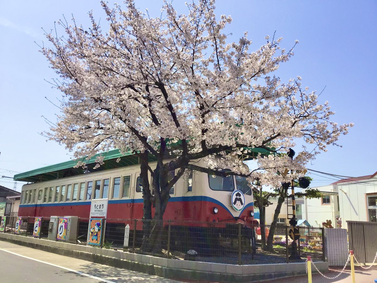 ちどり保育園 tweet media