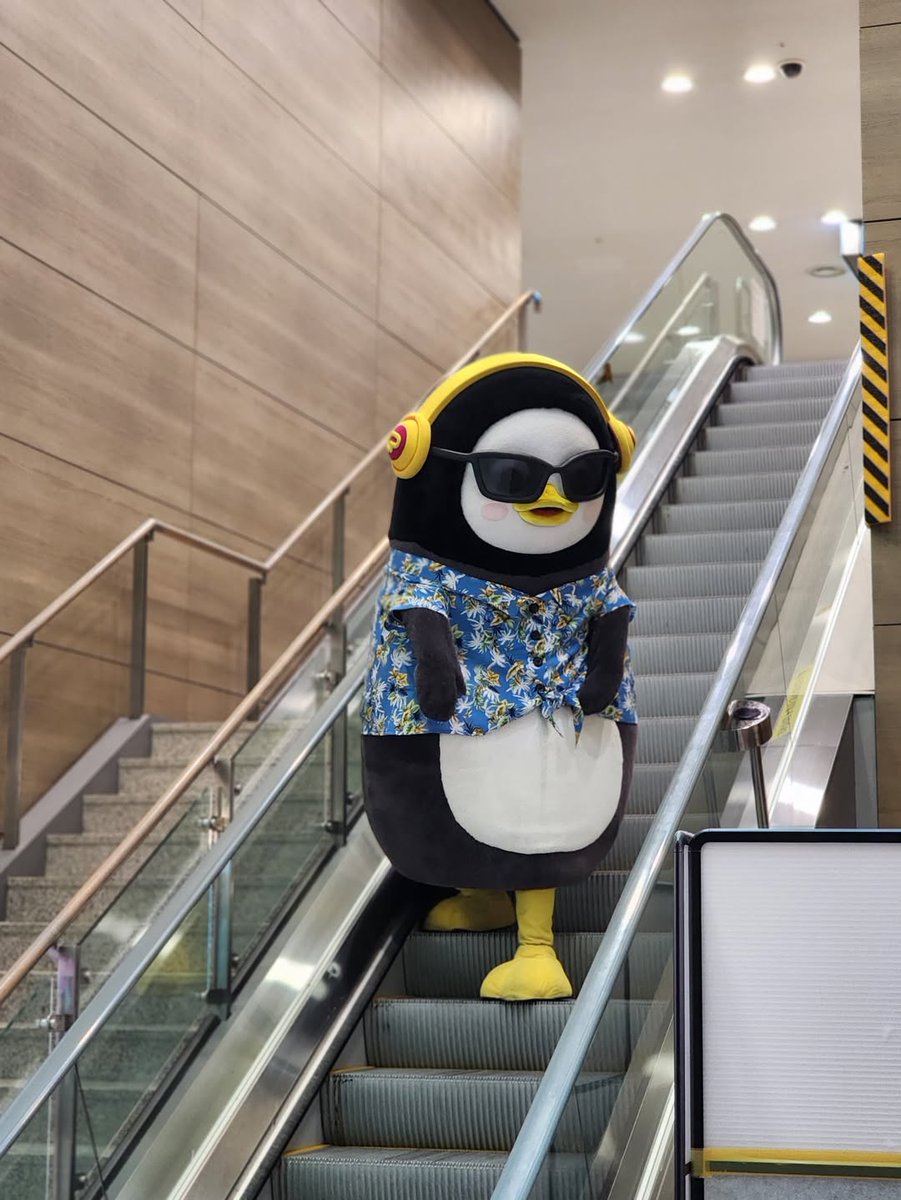 펭수 팬🐧 tweet media