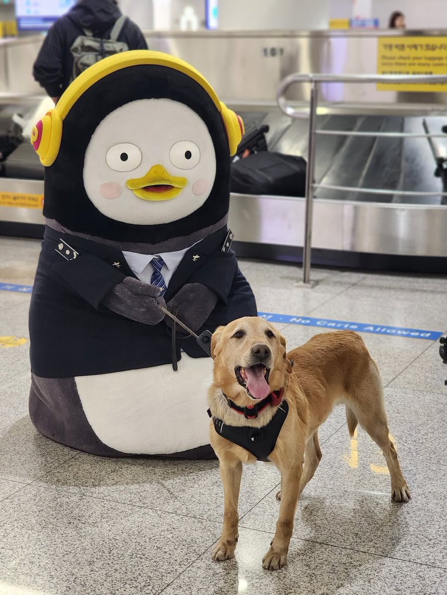 펭수 팬🐧 tweet media