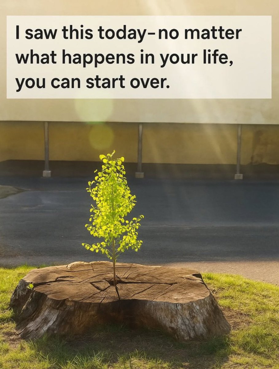 Hana_b30's tweet image. True..