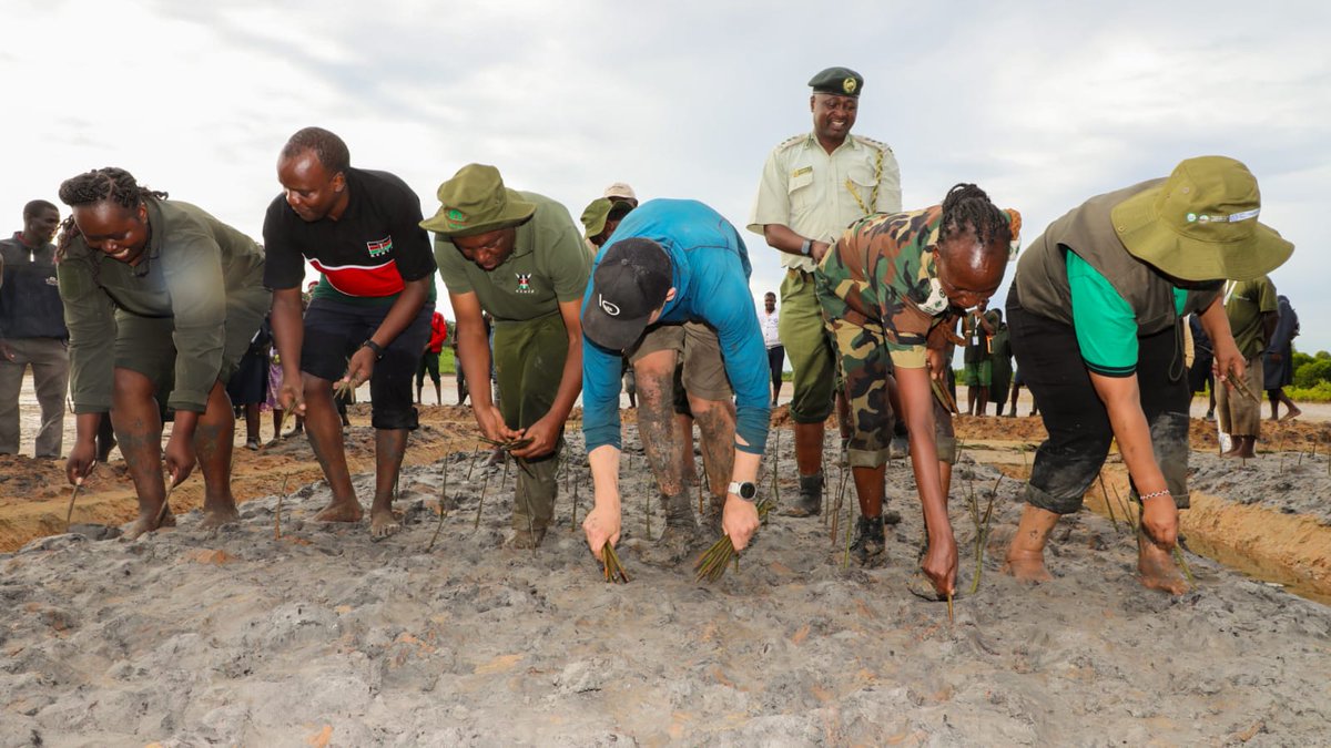 Kenya Forest Service tweet media
