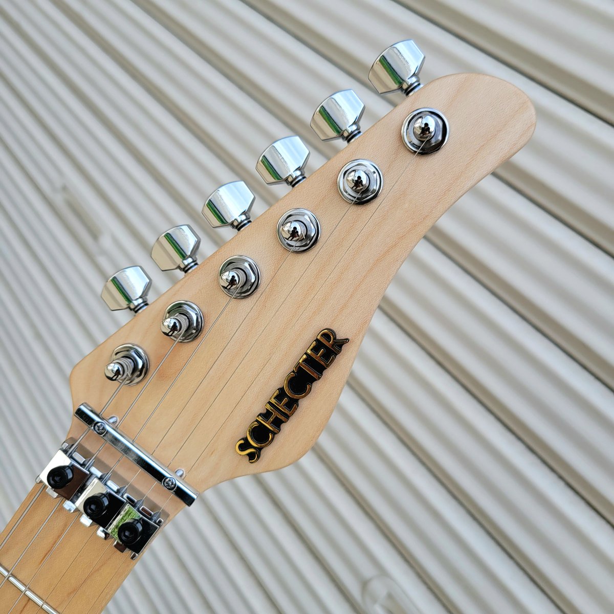 SCHECTER GUITAR JPN tweet media