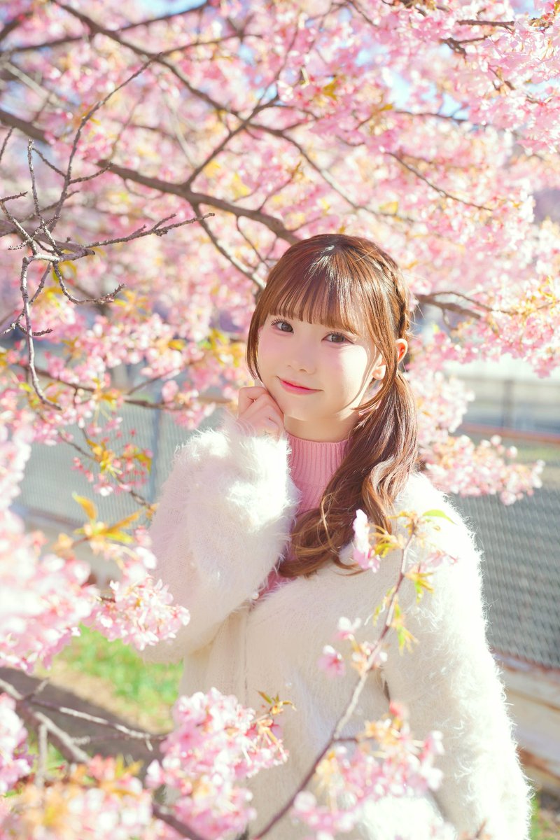 🎀🌙🩵ゆう🩵🌙🎀@みあサポ＆Sparkling Jubilee🎀🌙🐭🌍🎉💞✨ tweet media