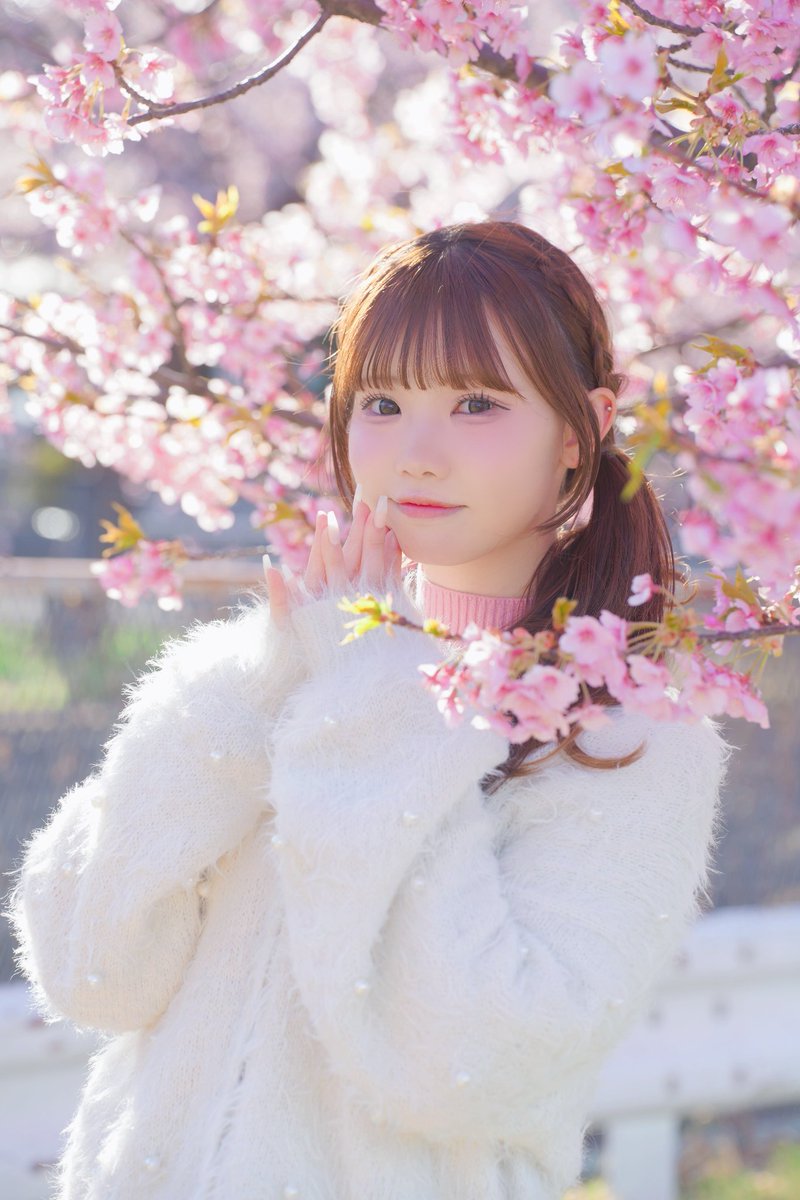 🎀🌙🩵ゆう🩵🌙🎀@みあサポ＆Sparkling Jubilee🎀🌙🐭🌍🎉💞✨ tweet media