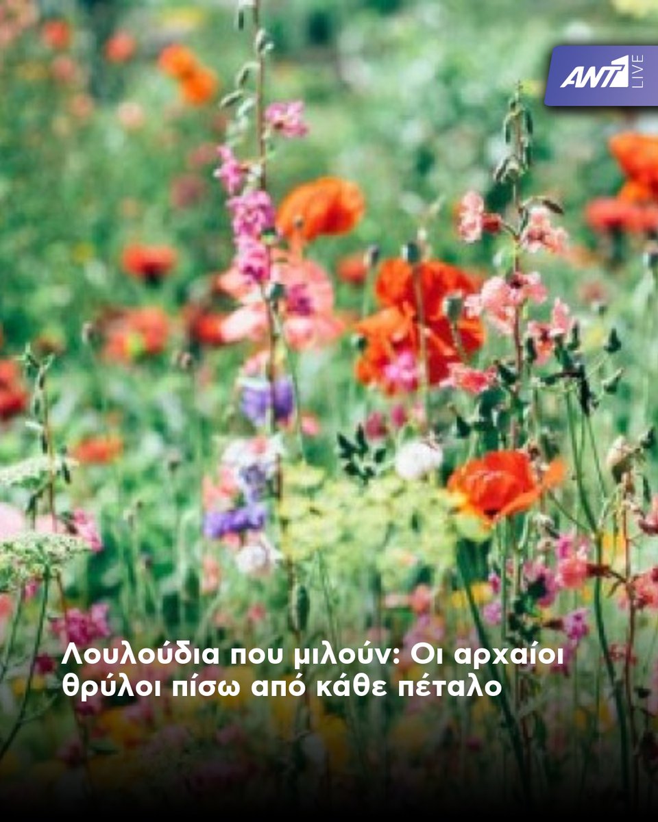 Ant1Live's tweet image. 10 άγνωστοι μύθοι
🔗: ant1live.com/zoi/678214_loy…

📲 Κατεβάστε την εφαρμογή ΑΝΤ1 Live

#Ant1livenews #News #Newstoday #Lifestyle #Cyprus
