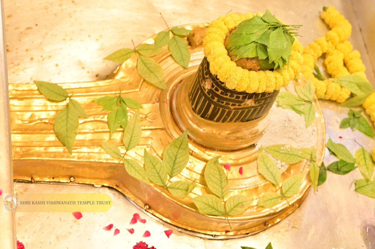 Shri Kashi Vishwanath Temple Trust tweet media