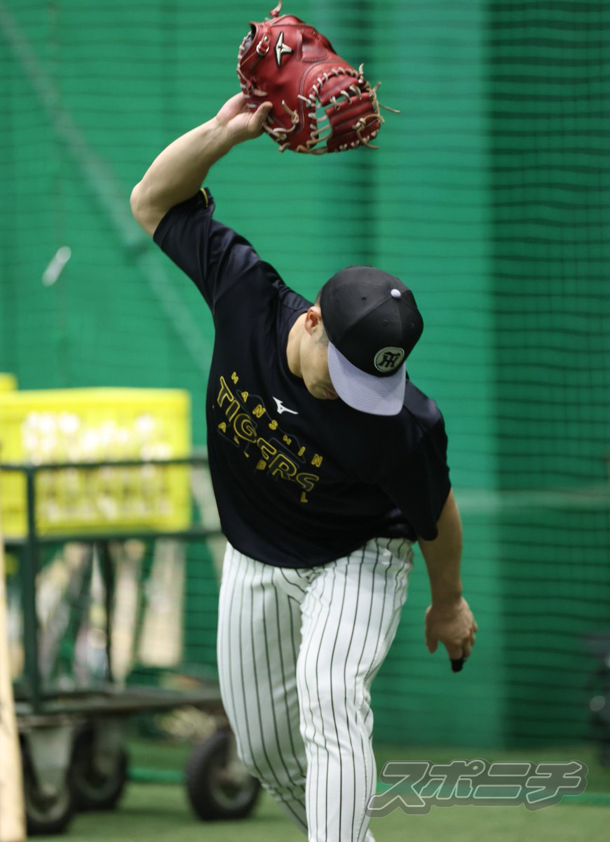スポニチTIGERSフォト tweet media