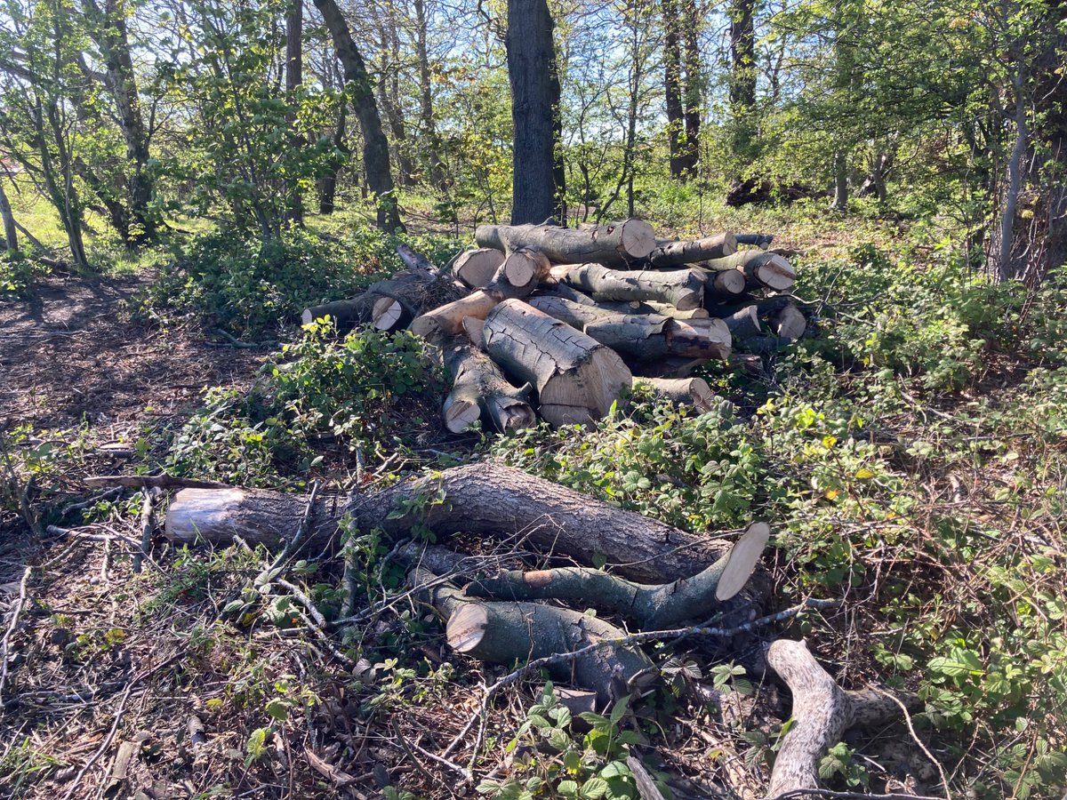 SaveNclWildlife tweet media