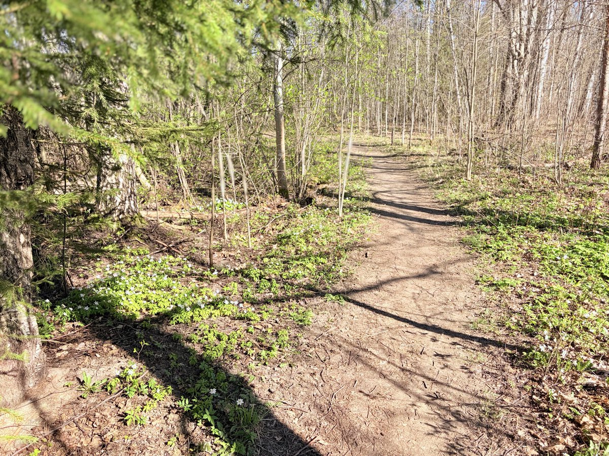EijaLeino's tweet image. Welcome to May❣️#XOXO #runs