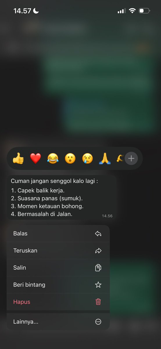 LapisLegit11 tweet media