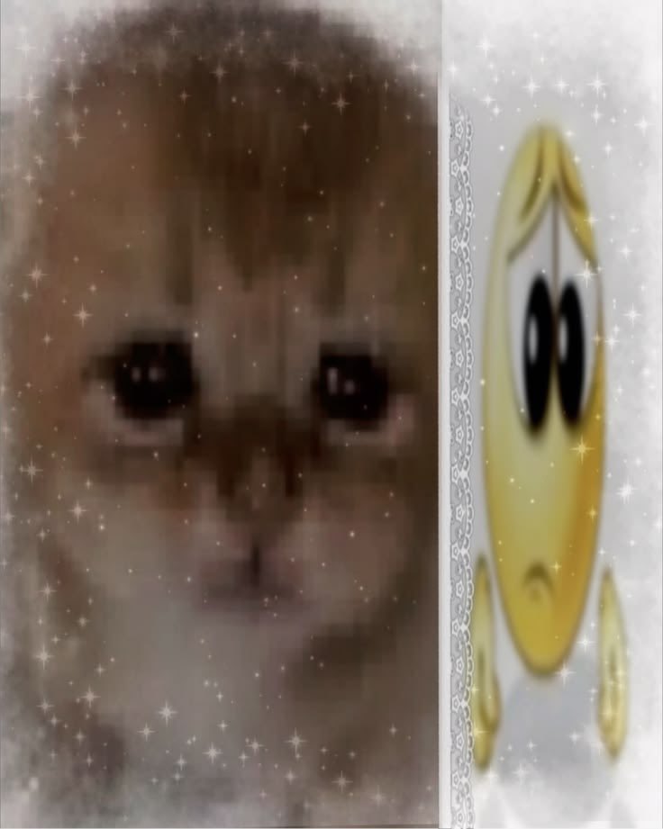 ⛧| 𝓶𝓲 土🩸 tweet media