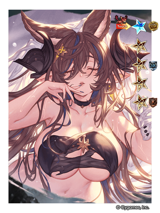 グラブルのプロフィールをやっと更新した 
