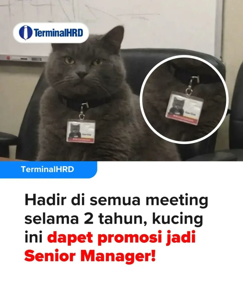 Some Thread tweet media