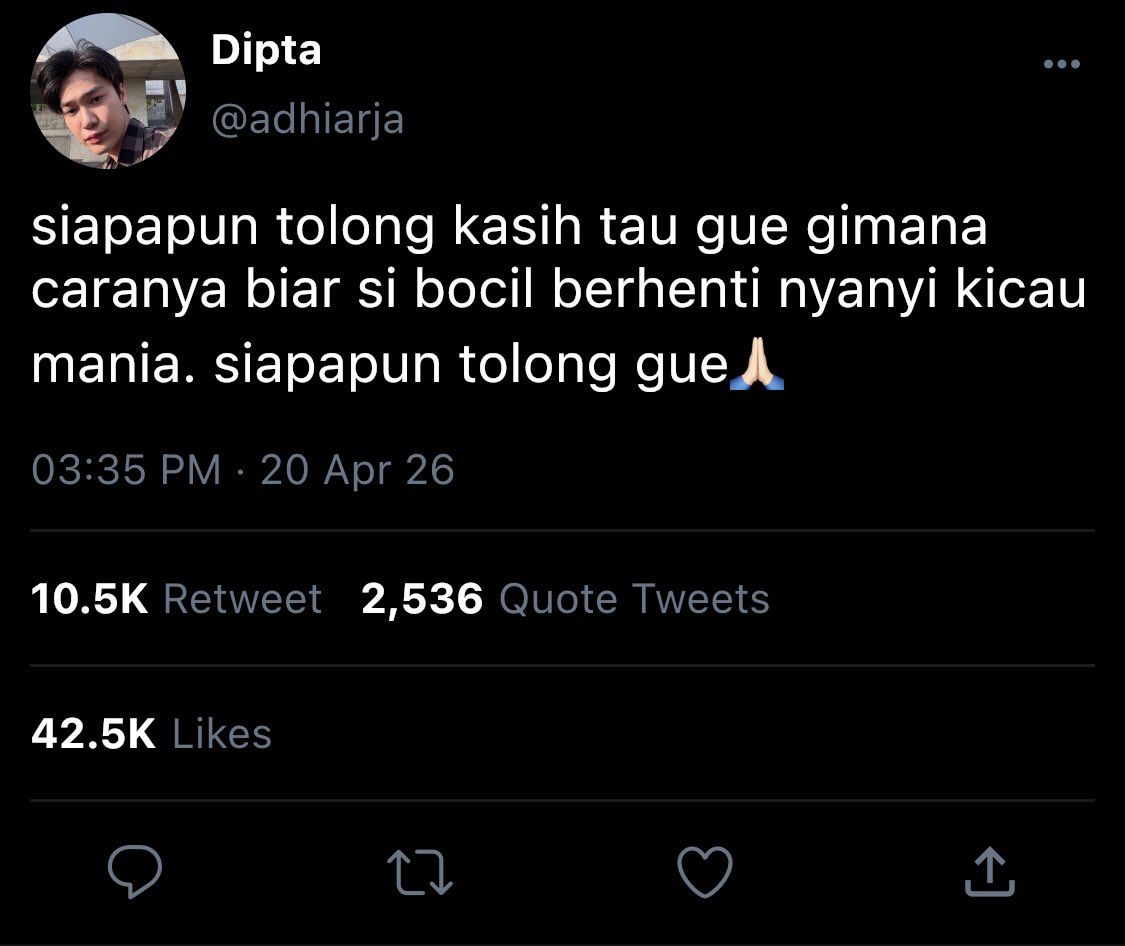 Ninanani🐱 tweet media