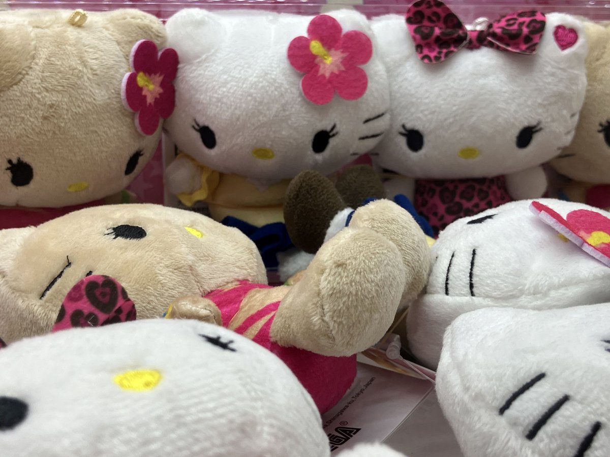 ジュンク堂書店高松店 tweet media
