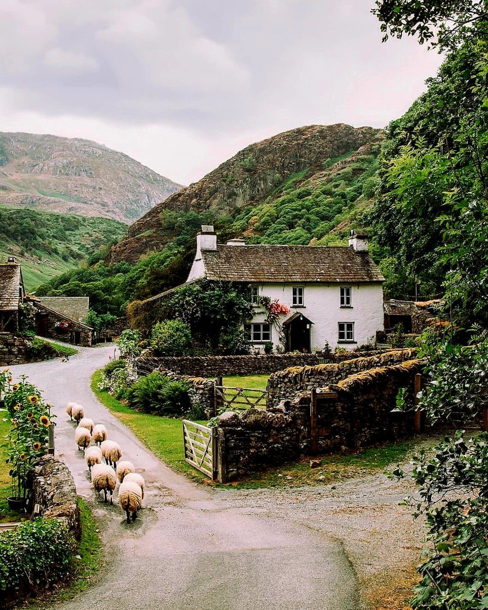 English Cottages tweet media