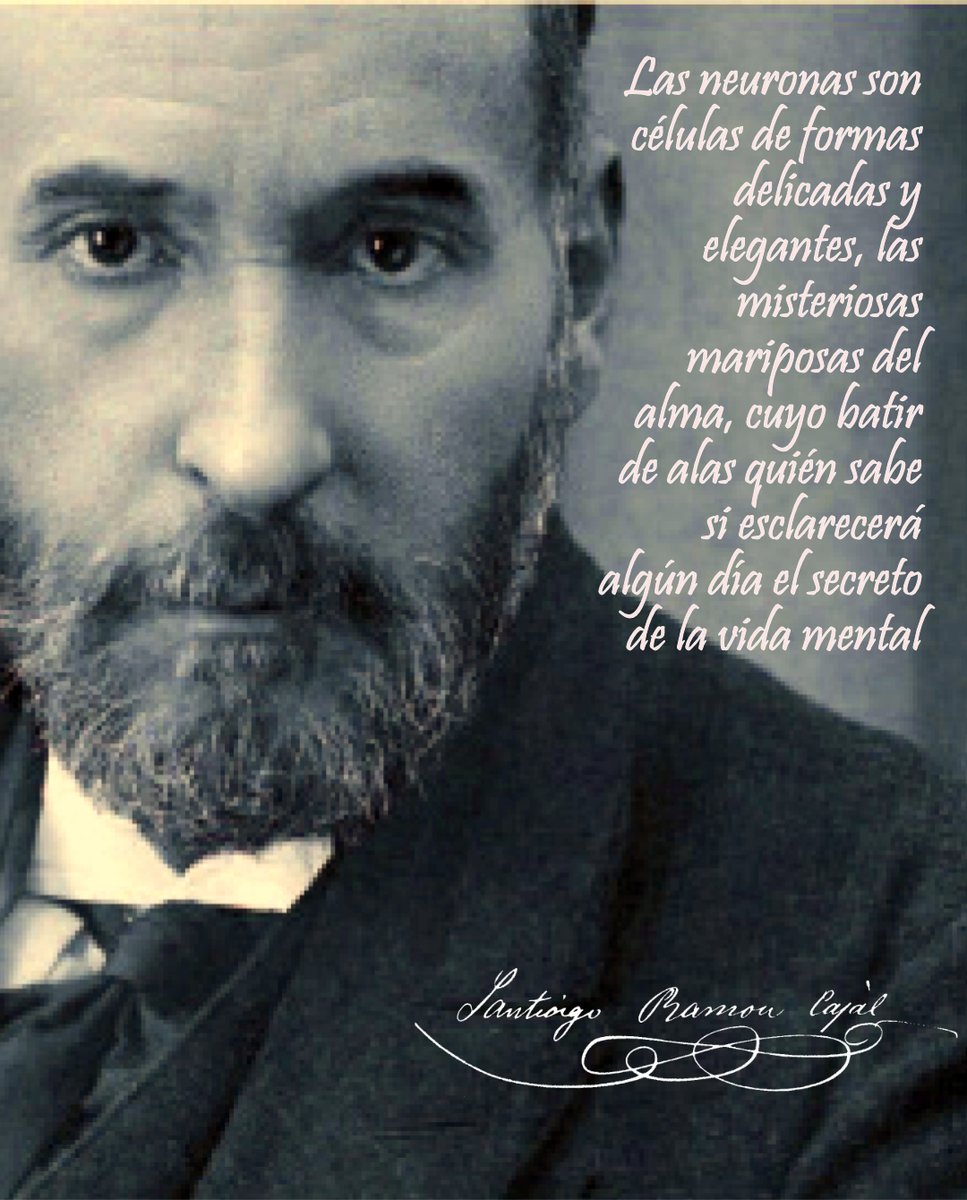 ryc_ayerbe's tweet photo. ¡Felicidades, D. Santiago! 🥳🎂
#Taldíacomohoy, de 1852, nace en #PetilladeAragón, Santiago Felipe #RamónyCajal. https://t.co/kv57TZvK4K