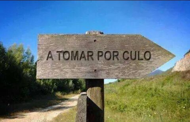 Pedro🇮🇨🏴󠁧󠁢󠁳󠁣󠁴󠁿🌹 tweet media