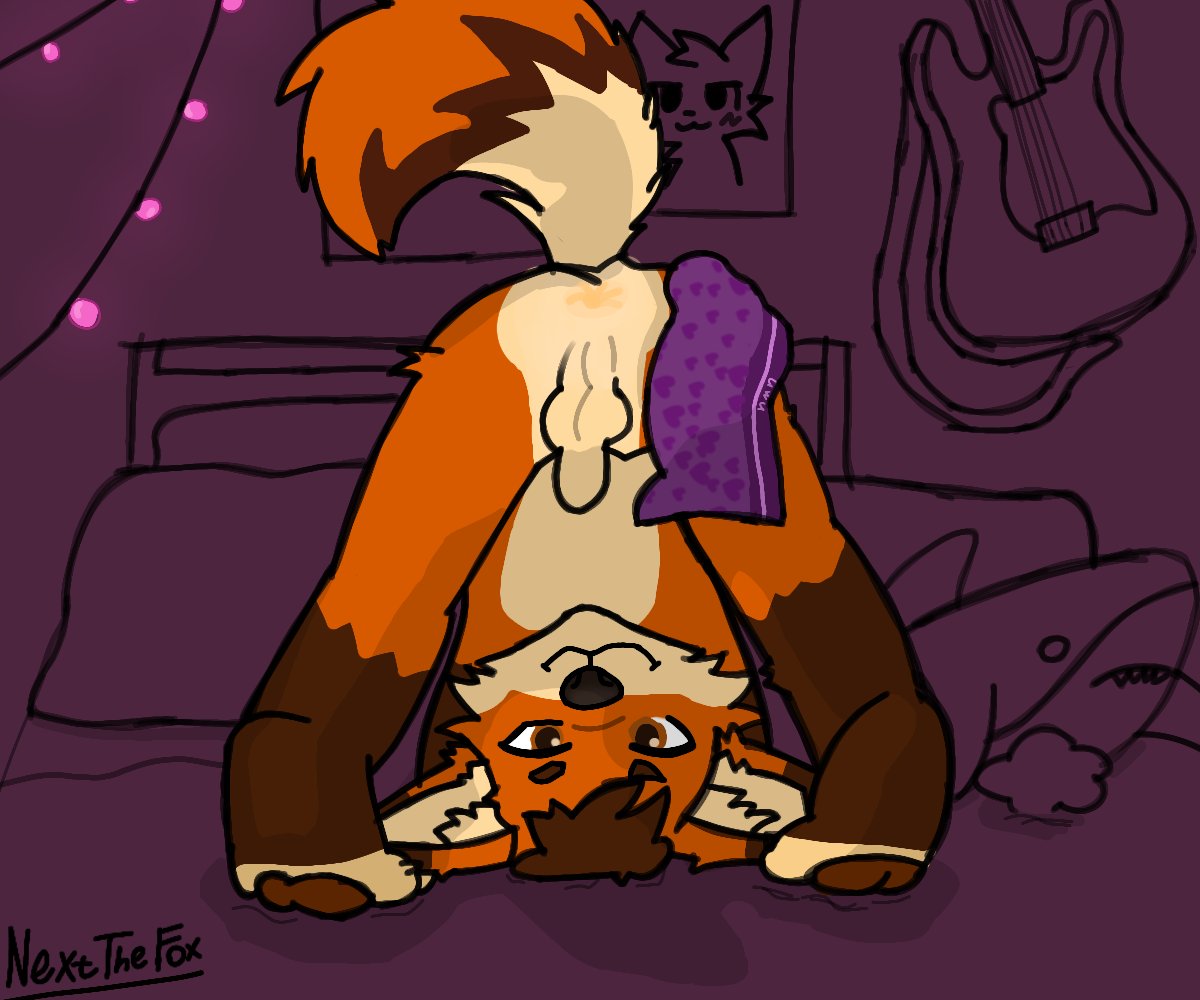 NextTheFox tweet picture