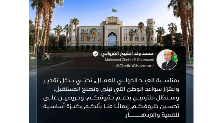 5ramz Regale w 6avilatt tweet media
