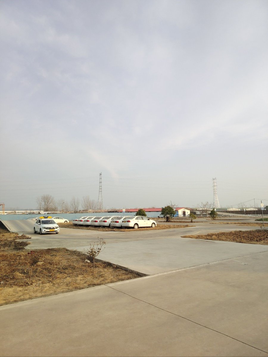 t.xinmei tweet media