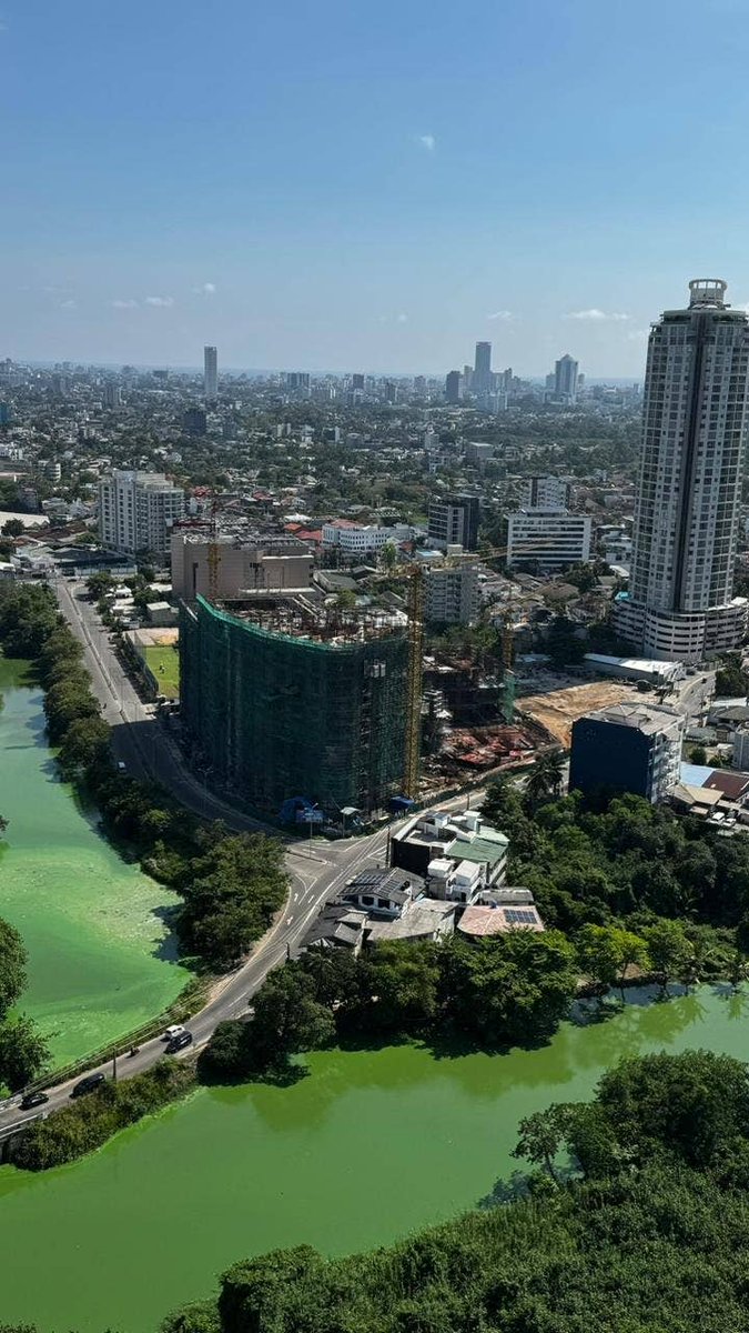 Ceylon Catalyst 🇱🇰 tweet media