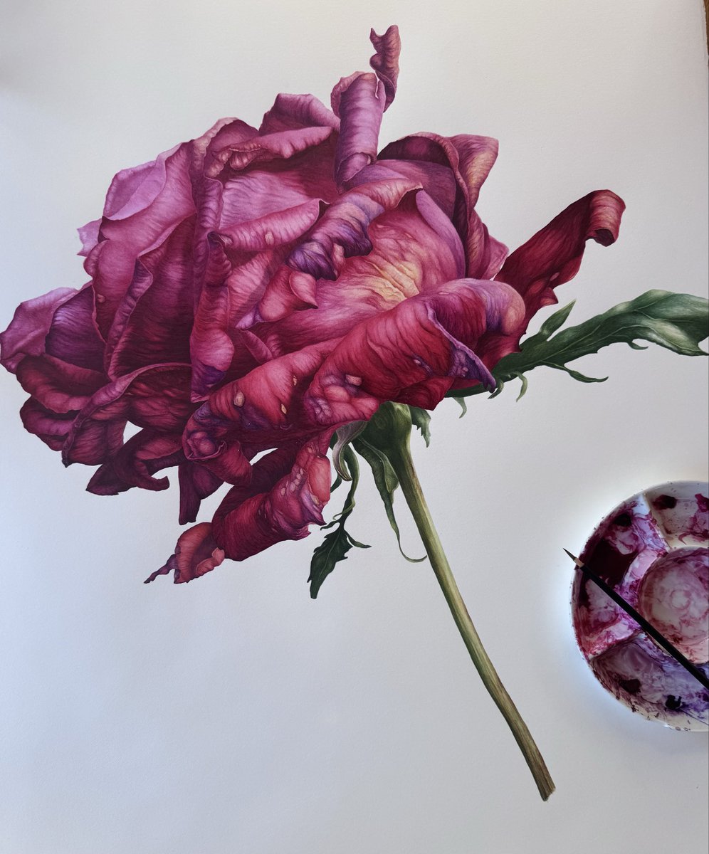 Anna Dowd Art, Pieces of Nature tweet media