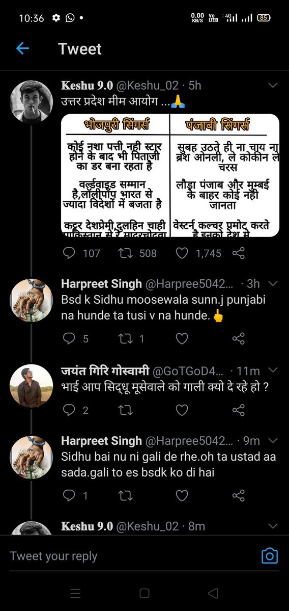 🦭 tweet media